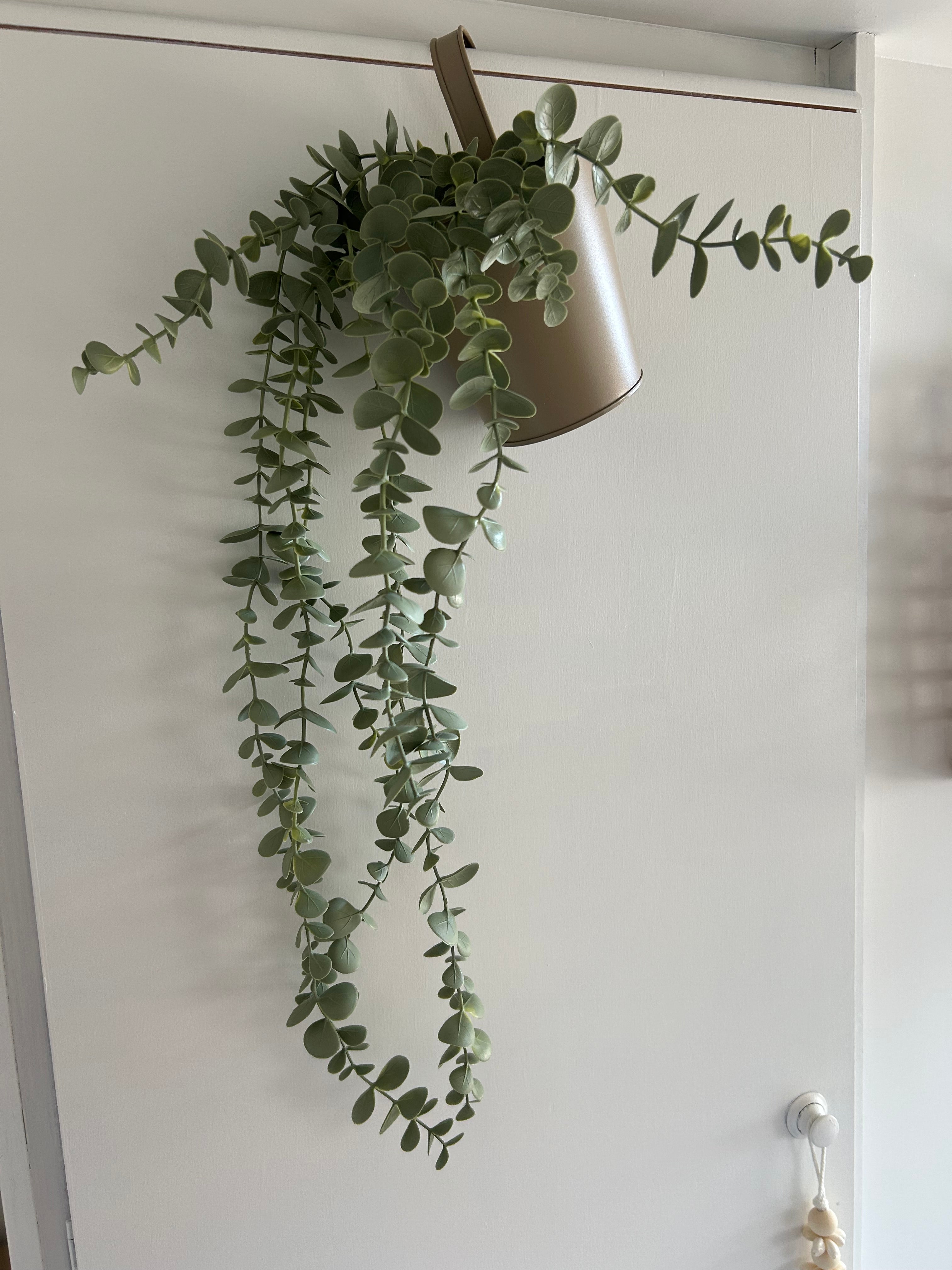 Interieurpakket BoHo Limited Edition