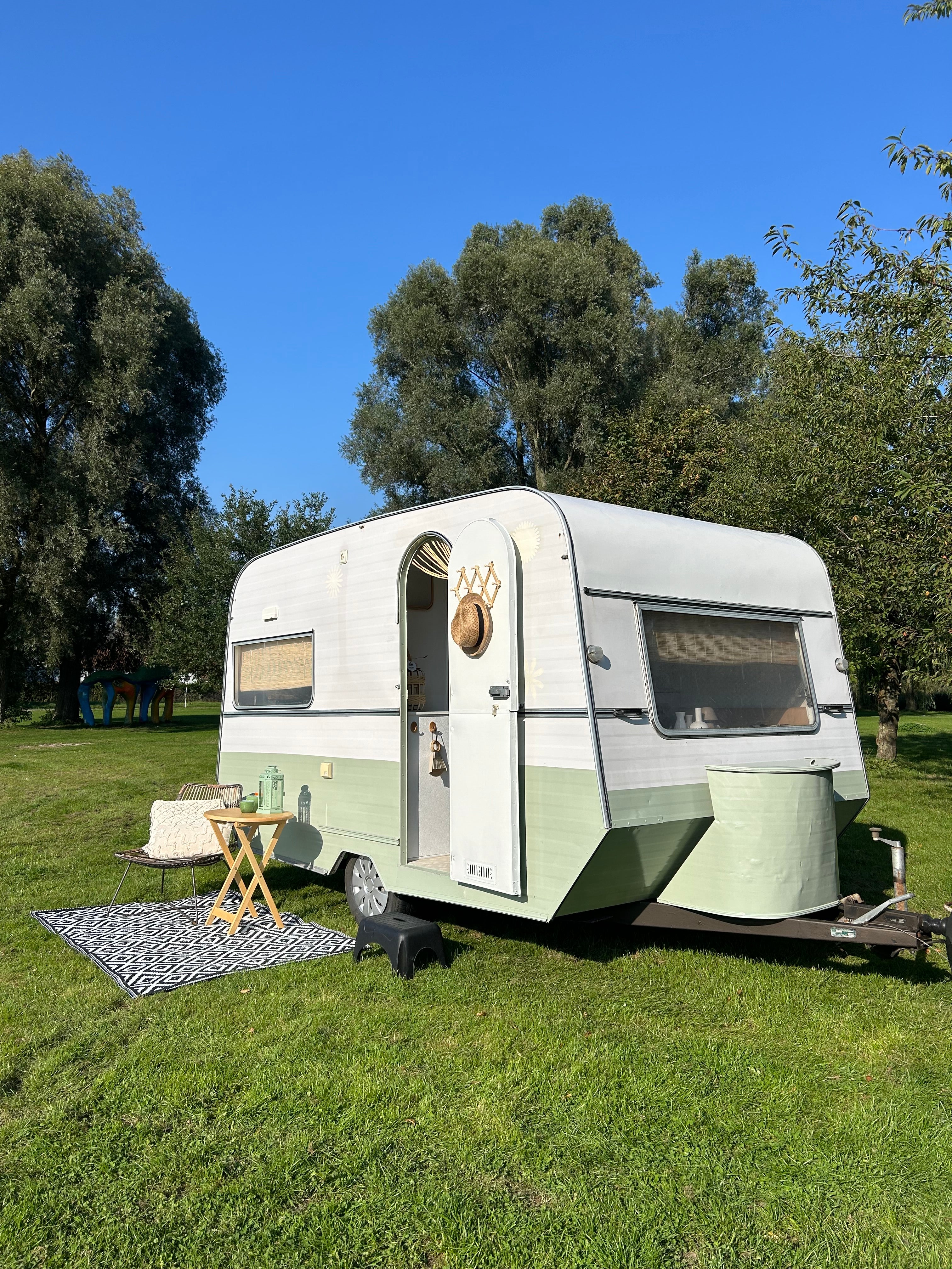 Kip Goldstream Extra Foto