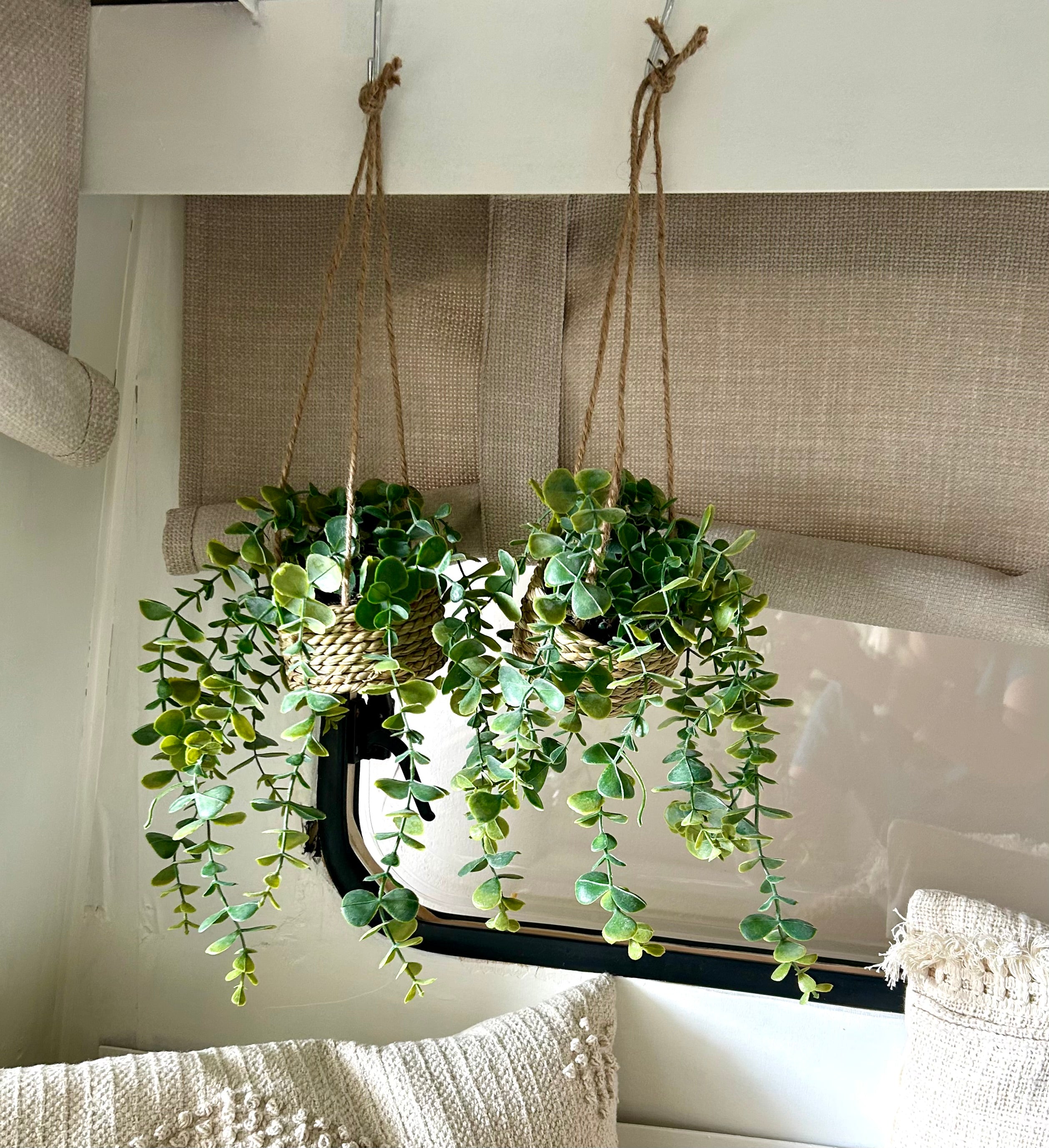 Eucalyptus hangplant, set van 2