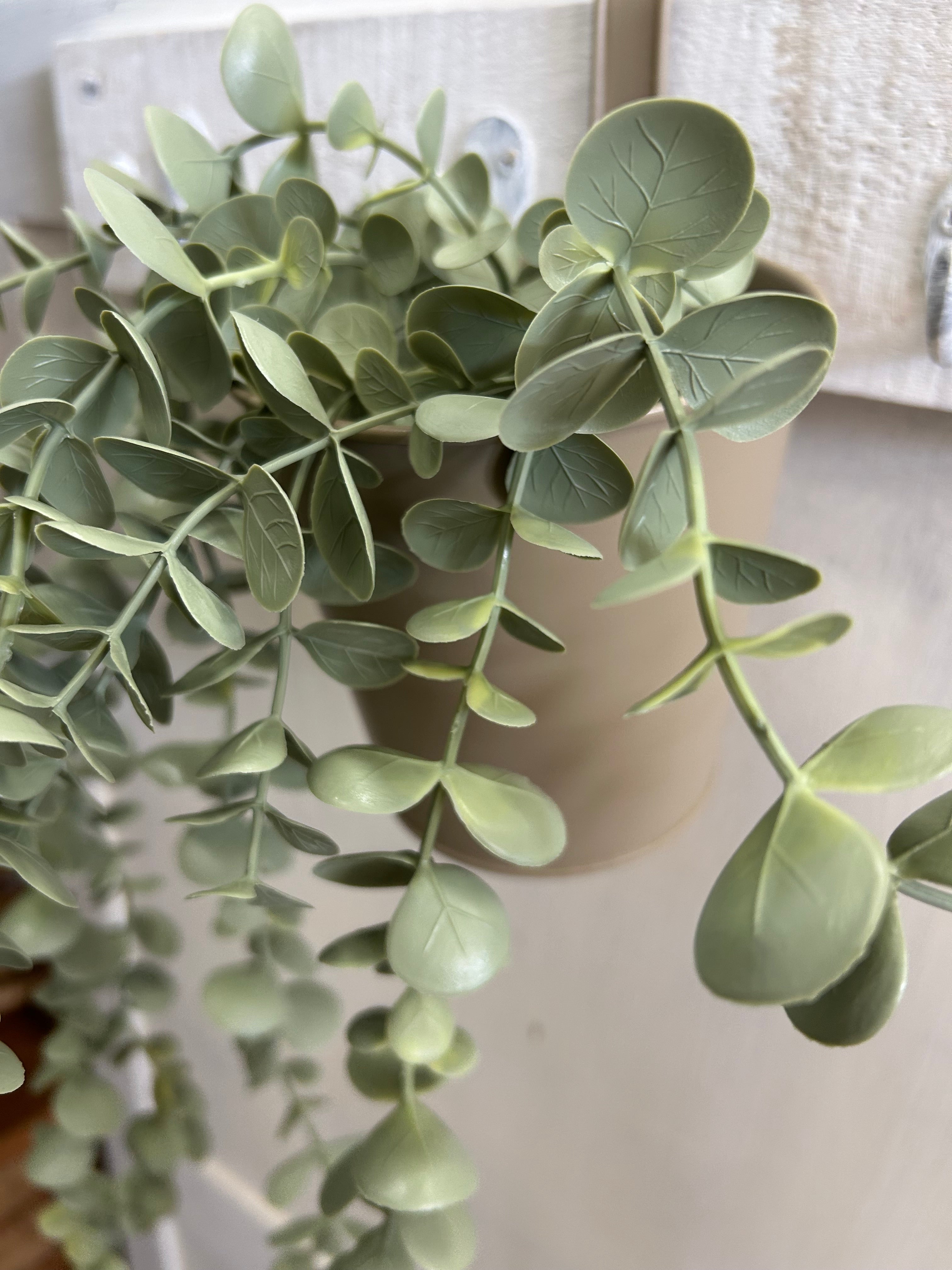 Eucalyptus kunstplant in metalen hangpot