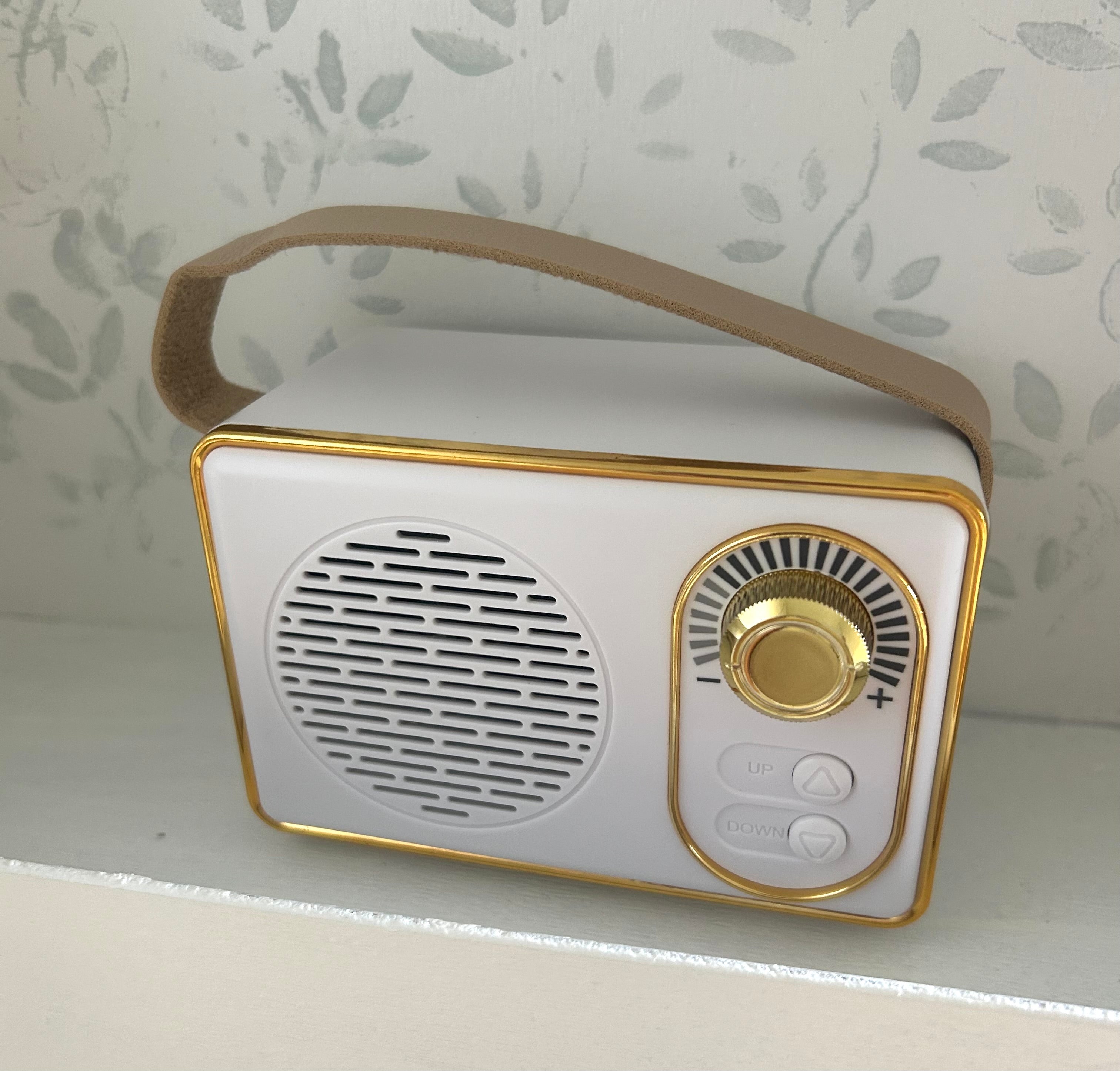 Retro mini speaker